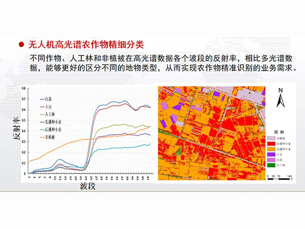 农业分类.jpg